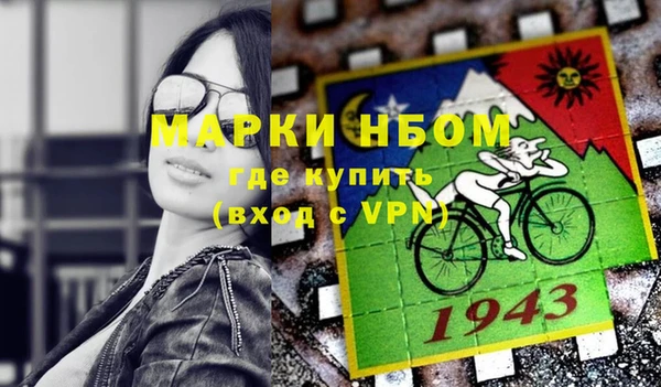 шишки Верея