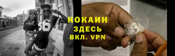 шишки Верея