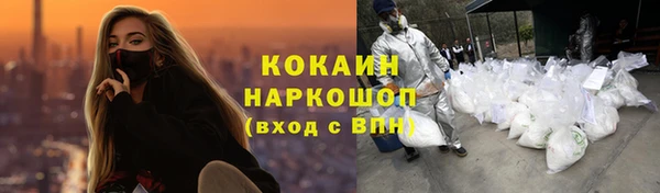 СК Бородино