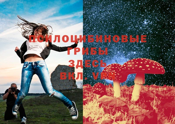 молекула духа Верхний Тагил