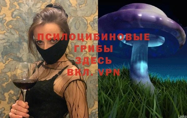 СК Бородино