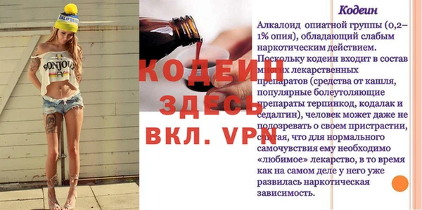 шишки Верея