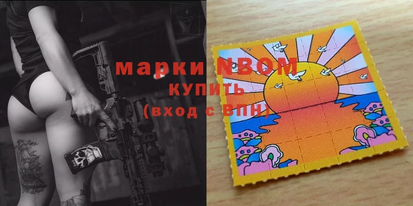 шишки Верея