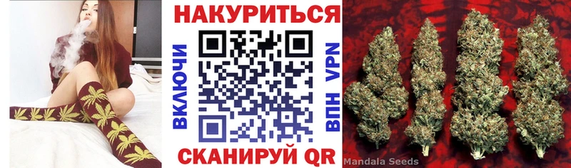 OMG маркетплейс Гай Бошки Шишки план магазин